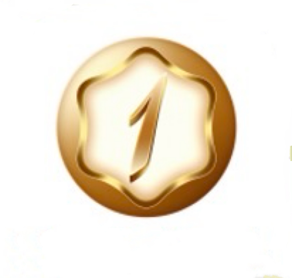 App Logo